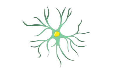Astrocyte [brain]