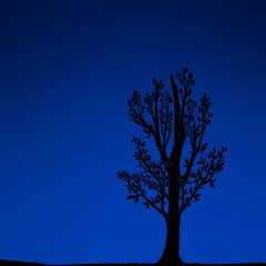tree silhouette against night sky illustration