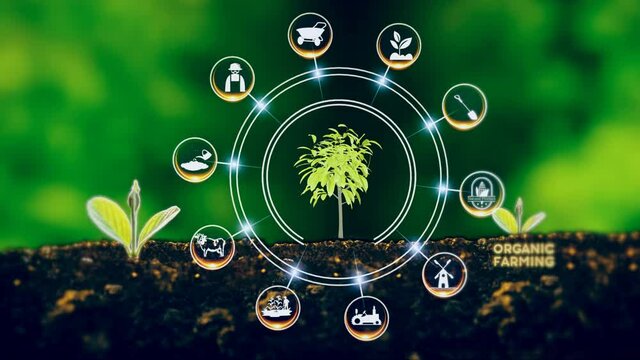 Organic Farming Concept Green environment with Center and spoke Concept ,Plant on center and rotating Icons