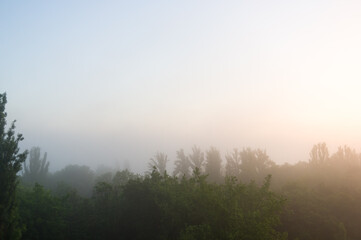 Spring cityscape - morning fog, green trees and sky with clouds