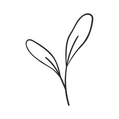 Vector hand drawn illustration of a plant