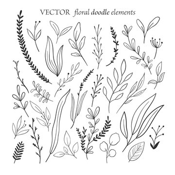 Set of vector hand drawn floral elements, doodle art