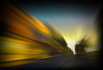 Sunset boulevard with Palm trees with dynamic motion. 