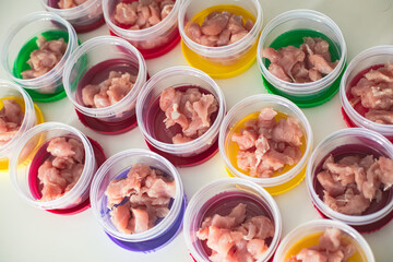 Process of preparing bowls with natural raw pet dog food at home, preparation of healthy raw barf for cats dogs, with duck, turkey, offals, meat, vegetables, assorted fresh food portions in containers