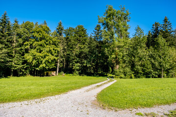 Fototapeta na wymiar Path in the nature - Obbürgen, Switzerland