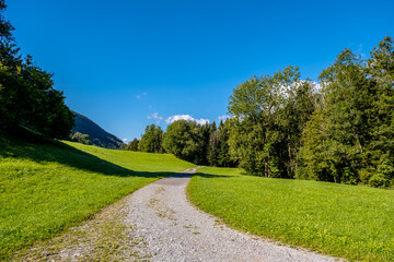 Fototapeta na wymiar Path in the nature - Obbürgen, Switzerland