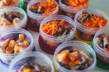 Process of preparing bowls with natural raw pet dog food at home, preparation of healthy raw barf for cats dogs, with duck, turkey, offals, meat, vegetables, assorted fresh food portions in containers