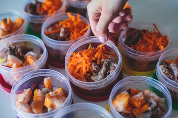 Process of preparing bowls with natural raw pet dog food at home, preparation of healthy raw barf for cats dogs, with duck, turkey, offals, meat, vegetables, assorted fresh food portions in containers