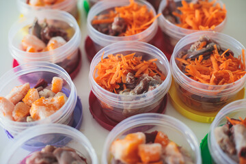 Process of preparing bowls with natural raw pet dog food at home, preparation of healthy raw barf for cats dogs, with duck, turkey, offals, meat, vegetables, assorted fresh food portions in containers