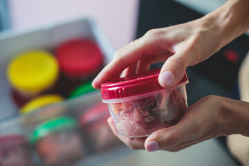 Process of preparing bowls with natural raw pet dog food at home, preparation of healthy raw barf for cats dogs, with duck, turkey, offals, meat, vegetables, assorted fresh food portions in containers