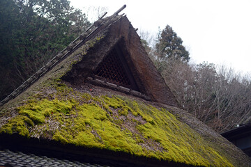 Fototapeta na wymiar A thatched roof-1