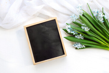 Fresh blue spring flowers Scilla siberica and wooden blackboard empty on a white table. Mockup.