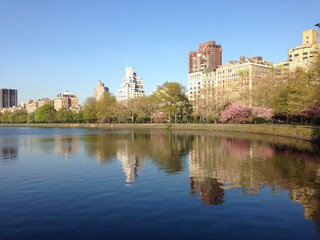 Fototapeta na wymiar New York - Central Park