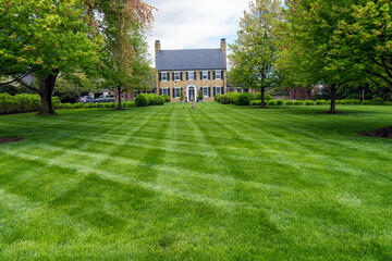 freshly mown lawn on the lawn of the house