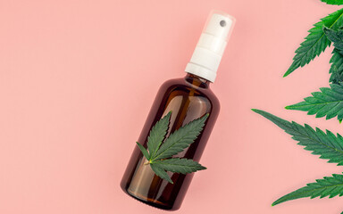 CBD body oil lotion Cannabis cosmetic product for skin care flat lay on pink background