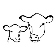 Cow and calf head profile illustration © Pamela Marie