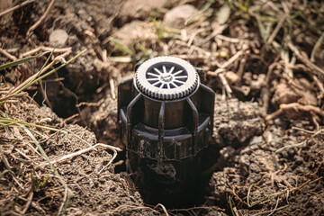 Sprinkler head in soil. Just installed irrigation system macro