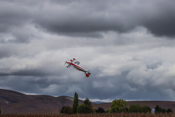 Fototapeta premium kite in the sky