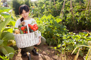 Fototapeta premium Cheerful Asian girl sitting among garden beds of her plantation and holding basket of harvest
