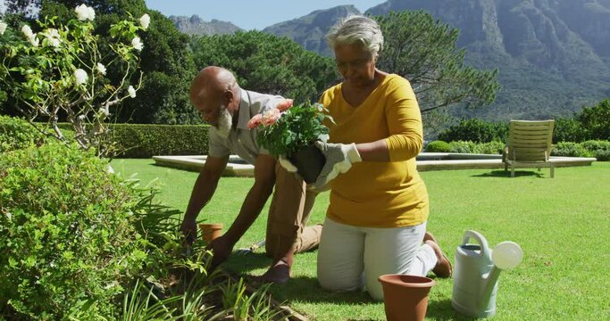 African american senior couple gardening together in the garden on a bright sunny day