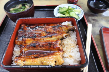 うな重