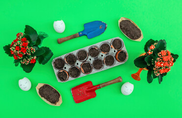 
Egg tray, watering cans with flowers, dirt in boats and garden shovels.
