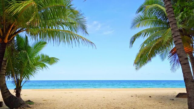 Amazing coconut palm trees frame on clear wild white sand beach on paradise Phuket island Karon beach Thailand, Beautiful video for Summer background and travel website 