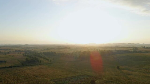 Aerial view over sunlit fields, golden hour in rural Africa - rising, drone shot