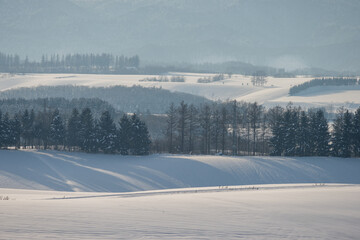 北海道の冬景色 美瑛の丘の風景