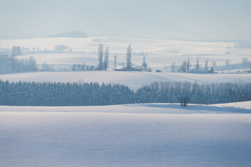Fototapeta na wymiar 北海道の冬景色 美瑛の丘の風景