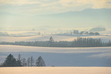 北海道の冬景色 美瑛の丘の風景