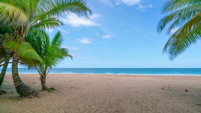 Amazing coconut palm trees frame on clear wild white sand beach on paradise Phuket island Thailand,Summer sea Beautiful video for Summer background and travel website 