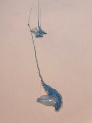 water flowing into the water