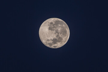 The full moon setting at dawn