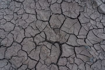 The cracked soil will be seen during the dry season.