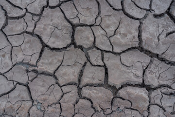The cracked soil will be seen during the dry season.