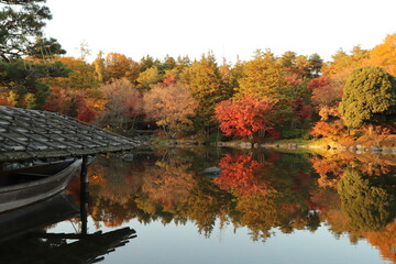 紅葉と庭園