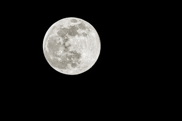 Supermoon over black night sky.April 26, 2021