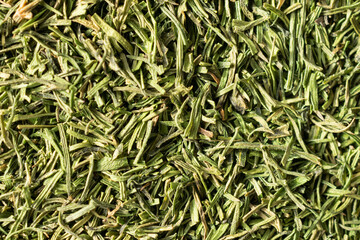 A close-up view of dried dill weed.