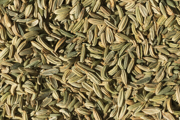 A close-up view of dried fennel seeds.