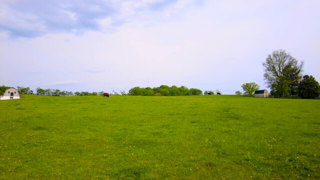 Rural Maryland, vast farm areas with farmhouses, ranches and byways in Frederick County. Spring time with green pastures, wild flowers, and cattle grazing free range. Vintage farm concept.