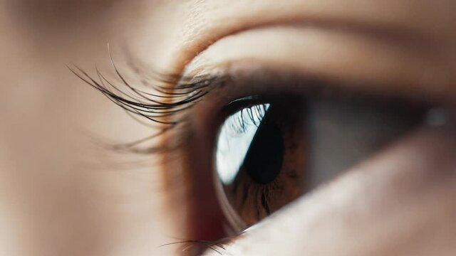 Eye Human with Beautiful Brown Iris Macro Shot. Bright Beauty Female Open Eyes with Pupil Dilation. Extreme Close-up Asian Girl Clear Looking Forward. Contracting Eye Iris on Light. View Concept 4k