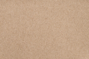 Fototapeta na wymiar The brown craft paper texture background.