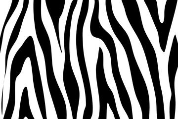 Zebra Pattern Illustration