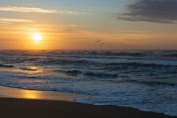 Obraz premium Birds flying towards sunrise