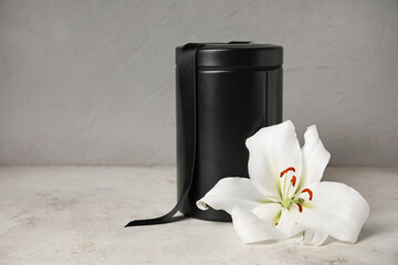 Mortuary urn and lily flower on light background