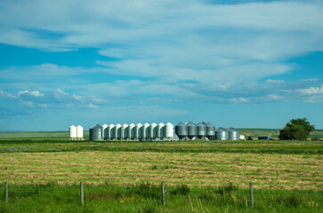 farm field with bin 