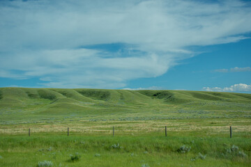 Fototapeta na wymiar green field and sky in SK, Canada