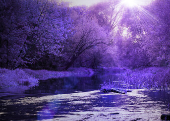 Fantasy purple forest and river