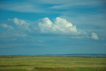 Obraz premium field and sky